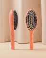 coral.jpg
